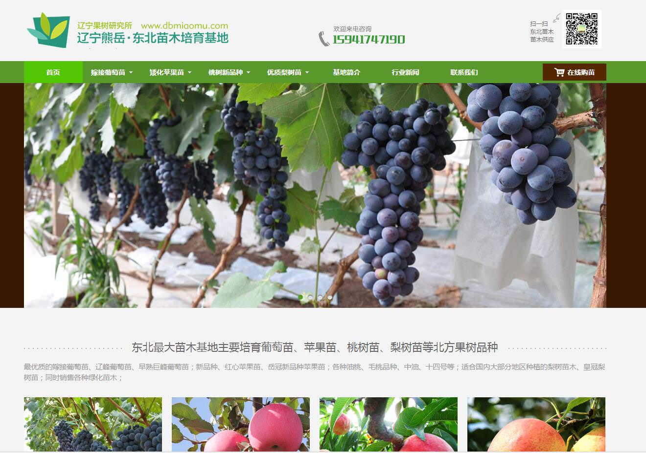 鲅鱼圈微商城开发